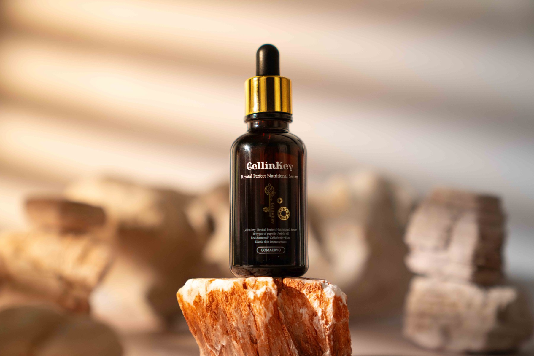 Dark serum bottle in a sculptural setting.